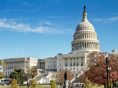 Government