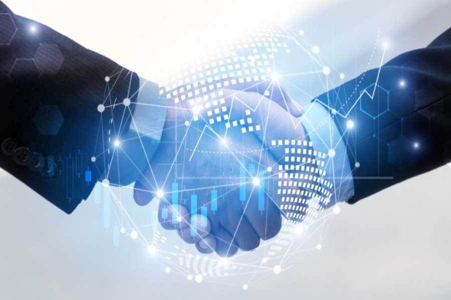 The Strategic Business Partner